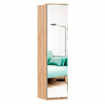 Шкаф одностворчатый с зеркалом Фиджи (Дуб Золотой/Антрацит)