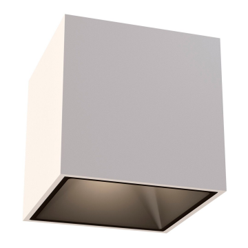 Потолочный светильник Technical C065CL-L12W3K-D