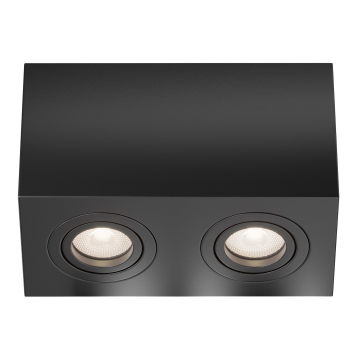 Потолочный светильник Technical C017CL-02B