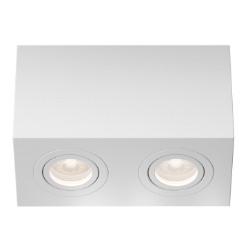 Потолочный светильник Technical C017CL-02W