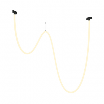 Трековый подвесной светильник Technical TR101-2-100W3K-B