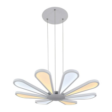 Lucia Tucci Miracoli 200.8 LED