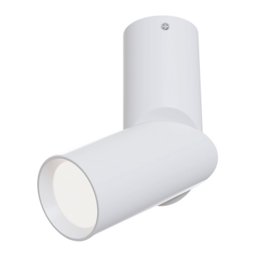 Потолочный светильник Technical C027CL-L10W4K