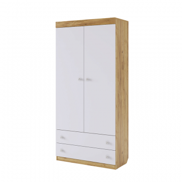 Форсаж Шкаф комбинированный (с ящ. 2-створчатый)