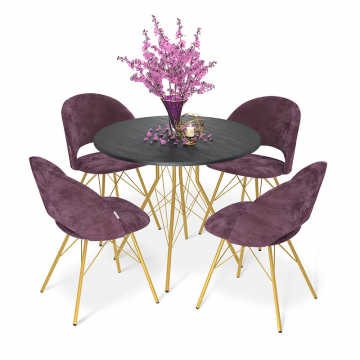 Комплект SHT-DS249