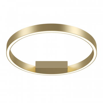 Потолочный светильник Maytoni MOD058CL-L25BSK