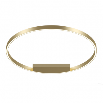 Потолочный светильник Maytoni MOD058CL-L50BSK