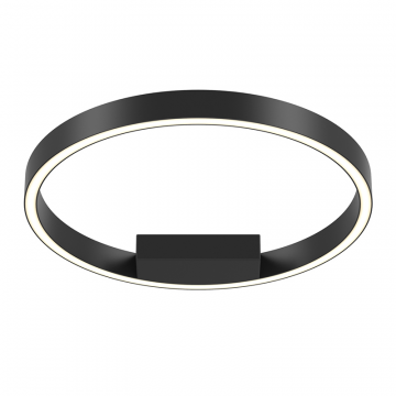 Потолочный светильник Maytoni MOD058CL-L25BK