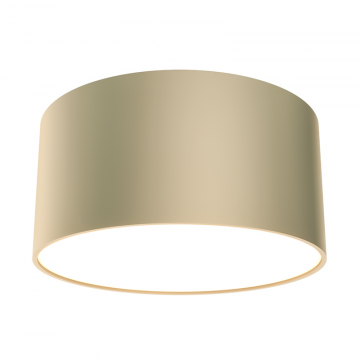 Потолочный светильник Technical C032CL-12W4K-RD-MG