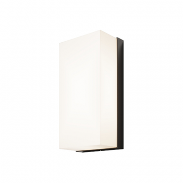 Настенный светильник (бра) Outdoor O454WL-L10GF3K