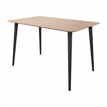 Стол обеденный Сканди 1