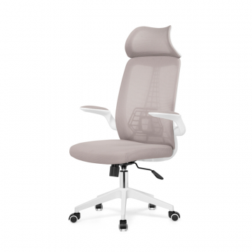 Компьютерное кресло Lokus light gray