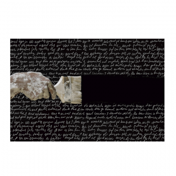 Фотография Poesia 180x120