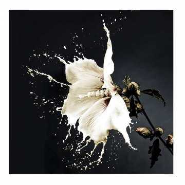 Печатная фотография Splash 100x100
