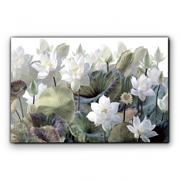 Фотография Nenufares 150x100 см