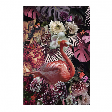 Фотография Flamenco 80x120