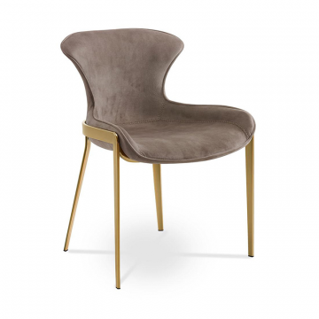 Стул Hillary, капучино/золото