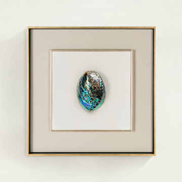 Декоративное панно “Абалон – I”