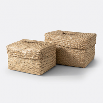Комплект из 2 корзин с крышкой Kotak  единый размер бежевый