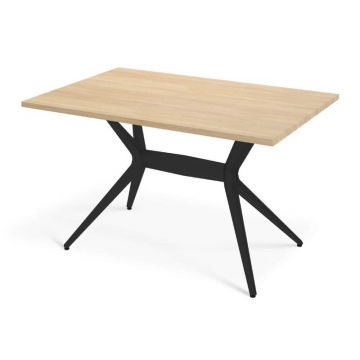 Стол SHT-TU30-2/TT46 120/80