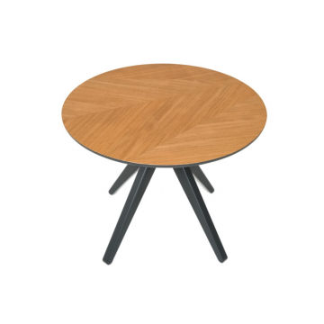 Журнальный стол Coffee Table 60x100 , шпон дуба