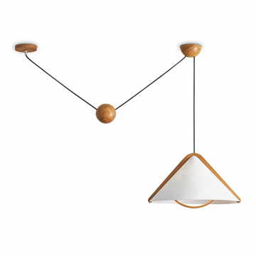 Потолочный светильник Freya FR5554CL-01T