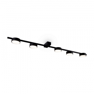 Потолочный светильник Freya FR5363CL-05B