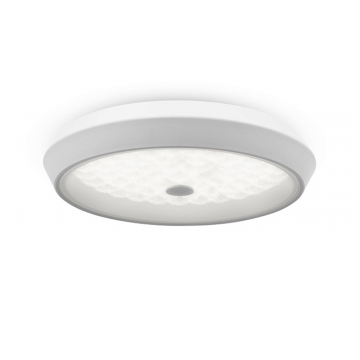 Потолочный светильник Freya FR10012CL-L24W