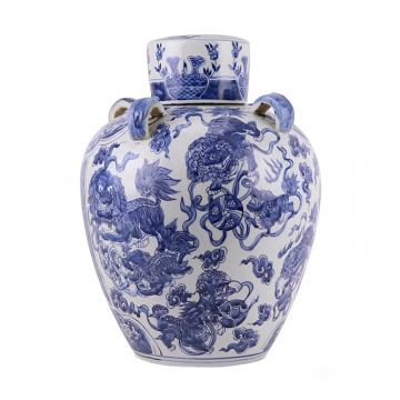 Банка «Небесный лев»