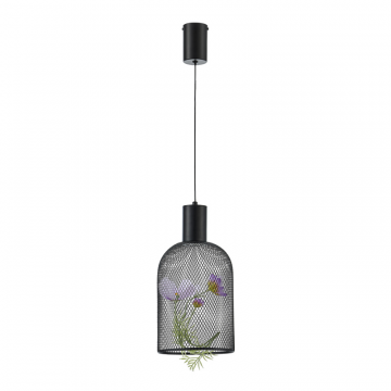 Светильник подвесной светодиодный Moderli V11874-PL Ophelia