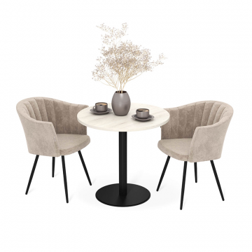 Стол+стулья SHT-DS316