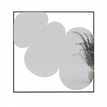 Зеркало Болле