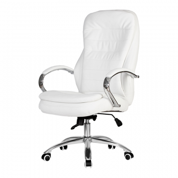 Офисное кресло для руководителей DOBRIN LYNDON, белый