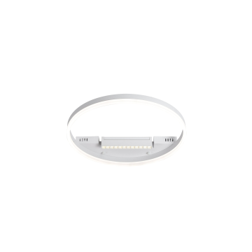 Потолочный светильник Freya FR6084CL-L68W