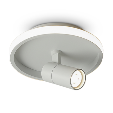 Потолочный светильник Freya FR6040CL-L14W