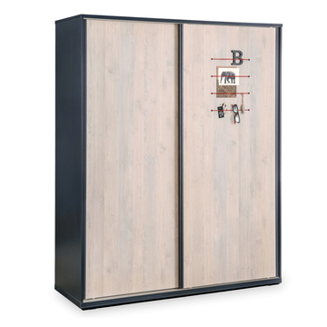 Шкаф-купе Trio