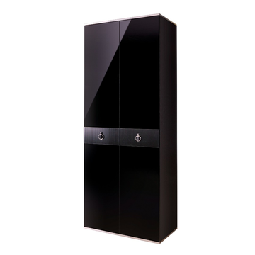 Шкаф 2-дверный Rimini Solo (черный / серебро) РМШ2/2(s)