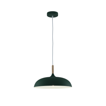 Светильник подвесной Moderli V11804-1P Hygo