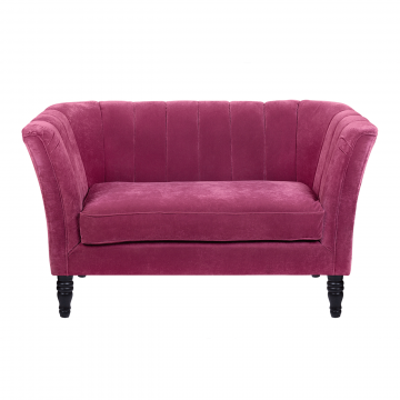 Диван Dalena violet (Двухместный)