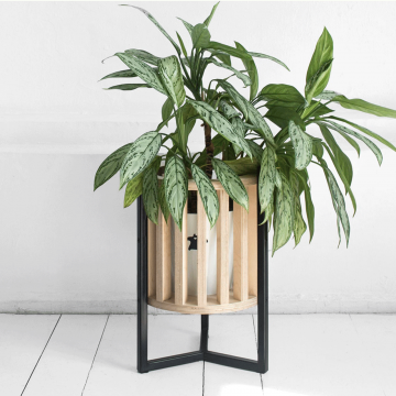 Кашпо Куг в натуральном цвете березы