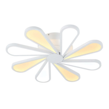 Lucia Tucci Miracoli 201.8 LED