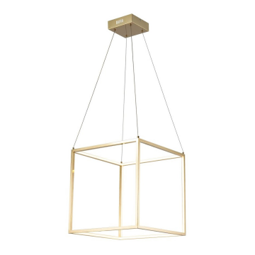 Lucia Tucci EXO 3350.440 gold