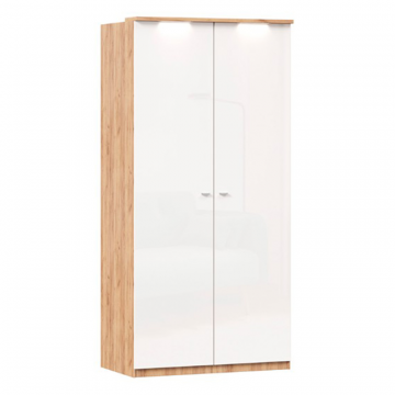 Шкаф двухстворчатый Фиджи (Дуб Золотой/Белый)