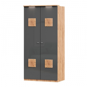 Шкаф двухстворчатый с декоративными накладками Фиджи (Дуб Золотой/Антрацит)