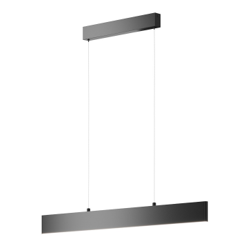 Подвесной светильник Technical P010PL-L23B