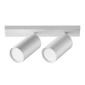 Потолочный светильник Technical C051CL-U-2W