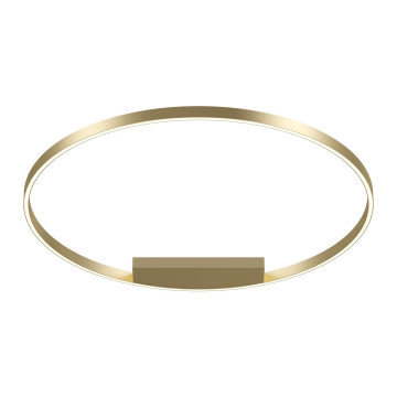 Потолочный светильник Maytoni MOD058CL-L65BS3K