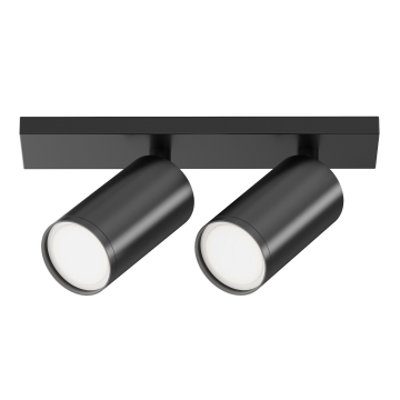 Потолочный светильник Technical C051CL-U-2B