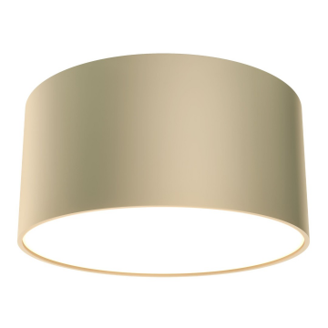 Потолочный светильник Technical C032CL-L12MG4K