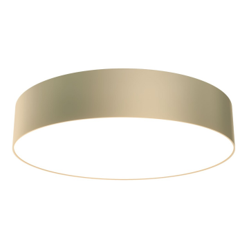 Потолочный светильник Technical C032CL-L43MG4K